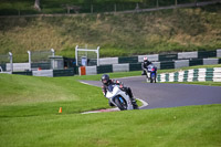 Lower Group White Bikes